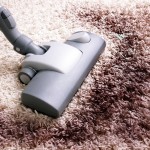Carpet Cleaner cleaning a Stain