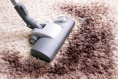 Carpet Cleaner cleaning a Stain
