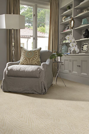 Discount Caress Carpet By Shaw In Scottsdale Az Carpet Closeouts