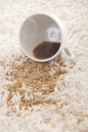 Clever, Inexpensive Ways to Remove Carpet Stains