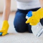 Don't Make These Common Carpet Cleaning Mistakes