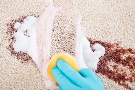 Make Your Own Carpet Cleaning Solution at Home