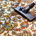 Area Rugs with vacuum