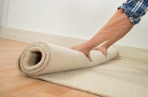Carpet Fibers 