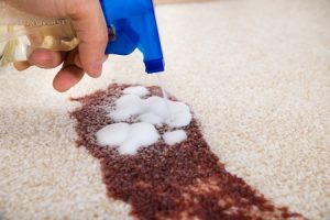 Removing Tough Stains from Carpets 