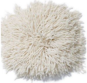 Tuftex Celeb Cloud Carpet Sample