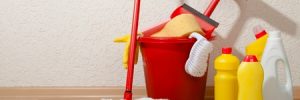 Cleaning Supplies to care for Hardwood Flooring