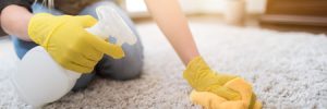housewife cleaning carpet with brush and doing housework