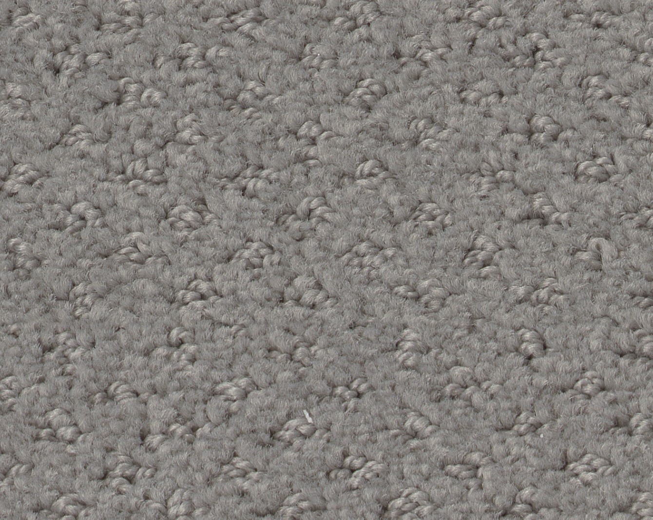 Shaw "Mainstay" Carpet for Sale Carpet Closeouts