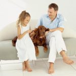 flooring options for pet owners