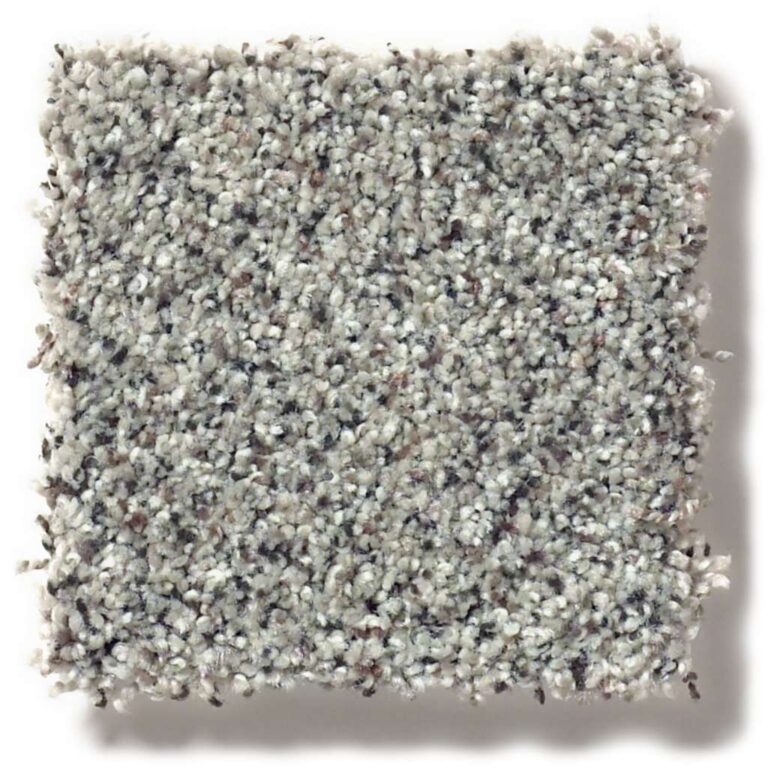 Shaw Find Your Comfort Nylon Carpet Carpet Closeouts