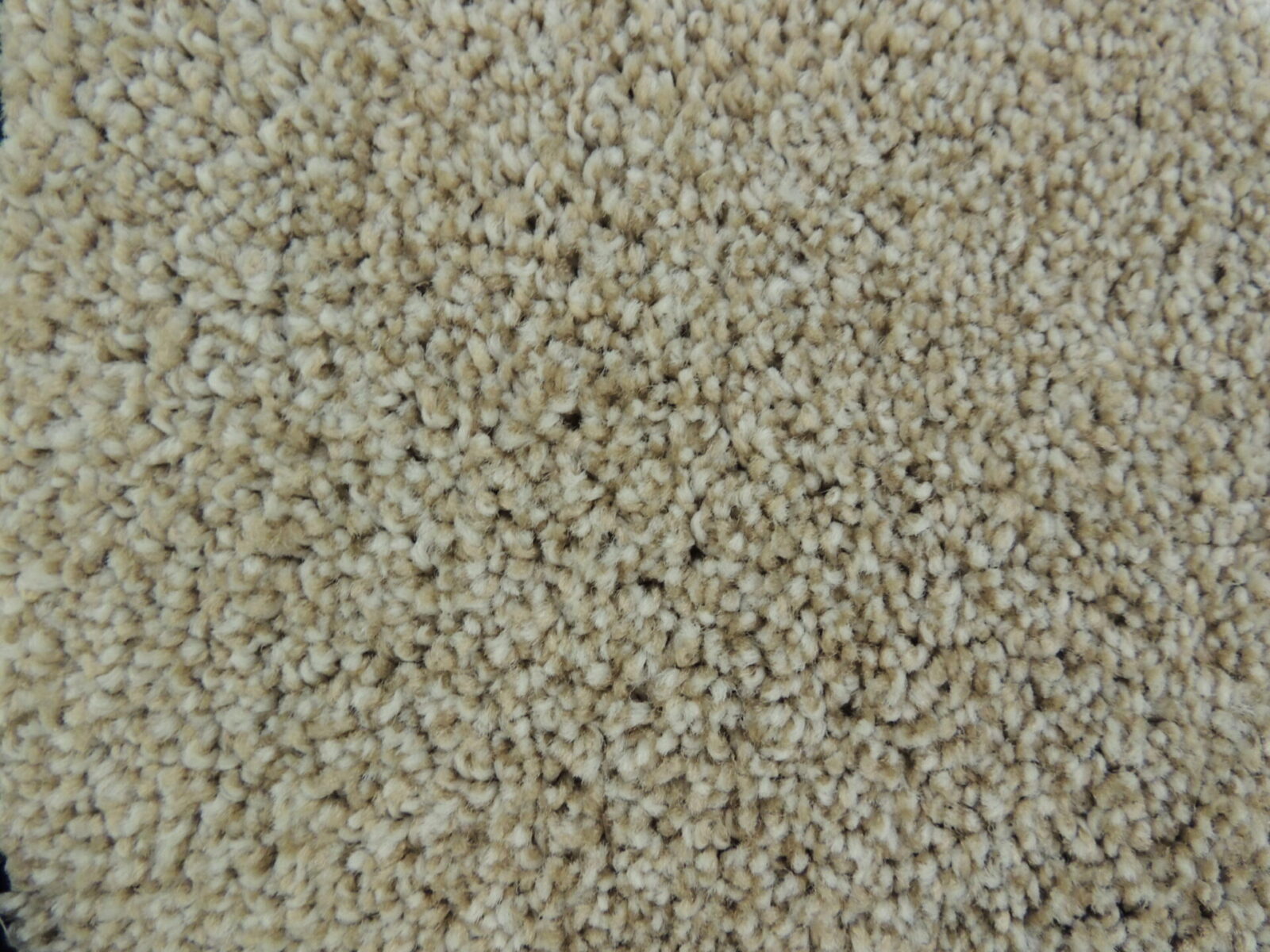 Discount Carpet & Cheap Flooring For Sale In Phoenix Carpet Closeouts