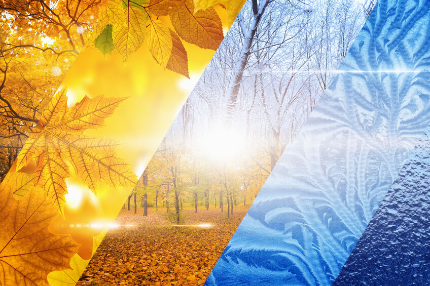 Fall Cold Winter How To Protect Your Floors in the Colder Months | Carpet Closeouts