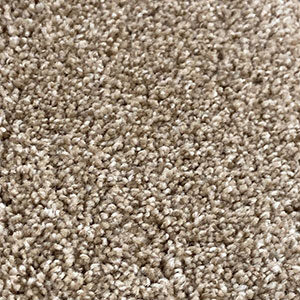 Close-up view of beige carpet fibers showing texture and dense pile.