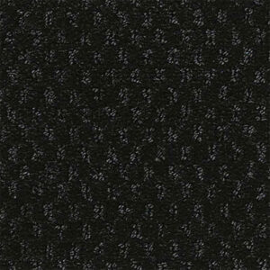 Close-up of a textured black fabric with a subtle dotted pattern throughout.