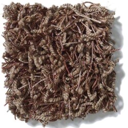 Tuftex Bling Carpet Sample