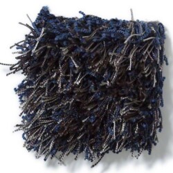 Tuftex swag Carpet Sample