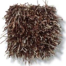 Tuftex swag Carpeting