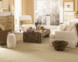 Mohawk Guided Path Alfresco Carpeting