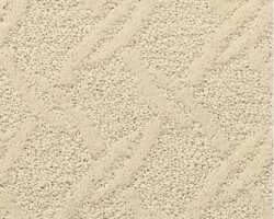 Mohawk Guided Path Alfresco Carpet swatch