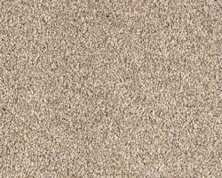 Mohawk Oakwood Carpet Swatch