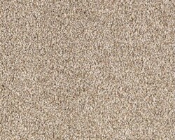 Mohawk Oakwood Carpet Swatch