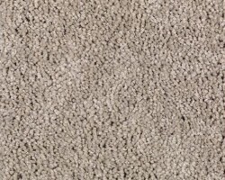 Mohawk Truly Tender Nouveau Carpet Swatch