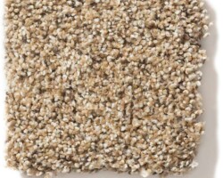 Lonesome Oak Explorer Carpet Sample